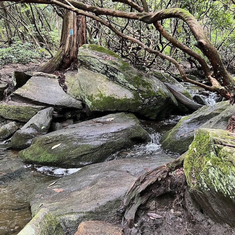 Rocky Stream